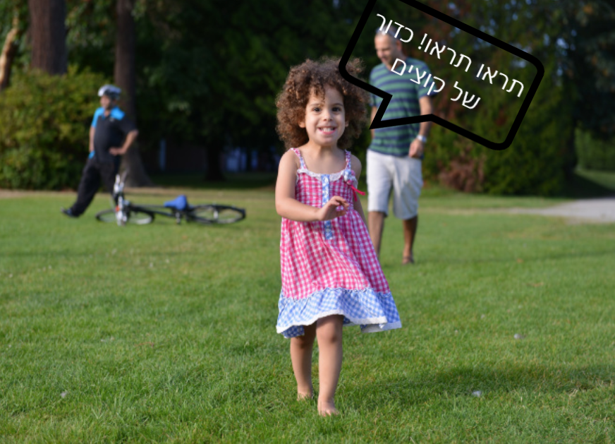 קיפוד בא לחצר by renana - Illustrated by כְּריסְטינָה קַדמוֹן - Ourboox.com