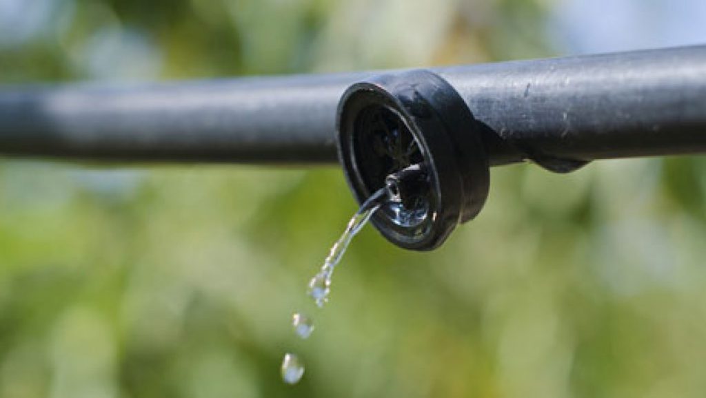 מיחזור- זה בידיים שלנו by liraz levi - Illustrated by לירז לוי - Ourboox.com