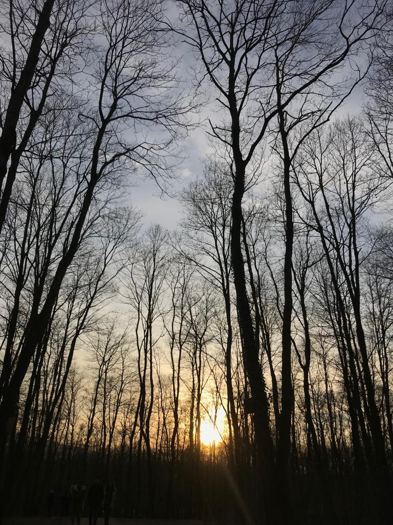 Resmi Resmeden Adam by Ezgi E. - Illustrated by Buse, Ecenur, Melike, Miraç, Müzeyyen Sude, Sezgin ve Şeyma... - Ourboox.com