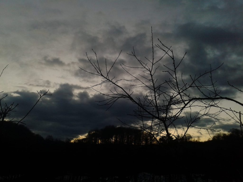 Resmi Resmeden Adam by Ezgi E. - Illustrated by Buse, Ecenur, Melike, Miraç, Müzeyyen Sude, Sezgin ve Şeyma... - Ourboox.com