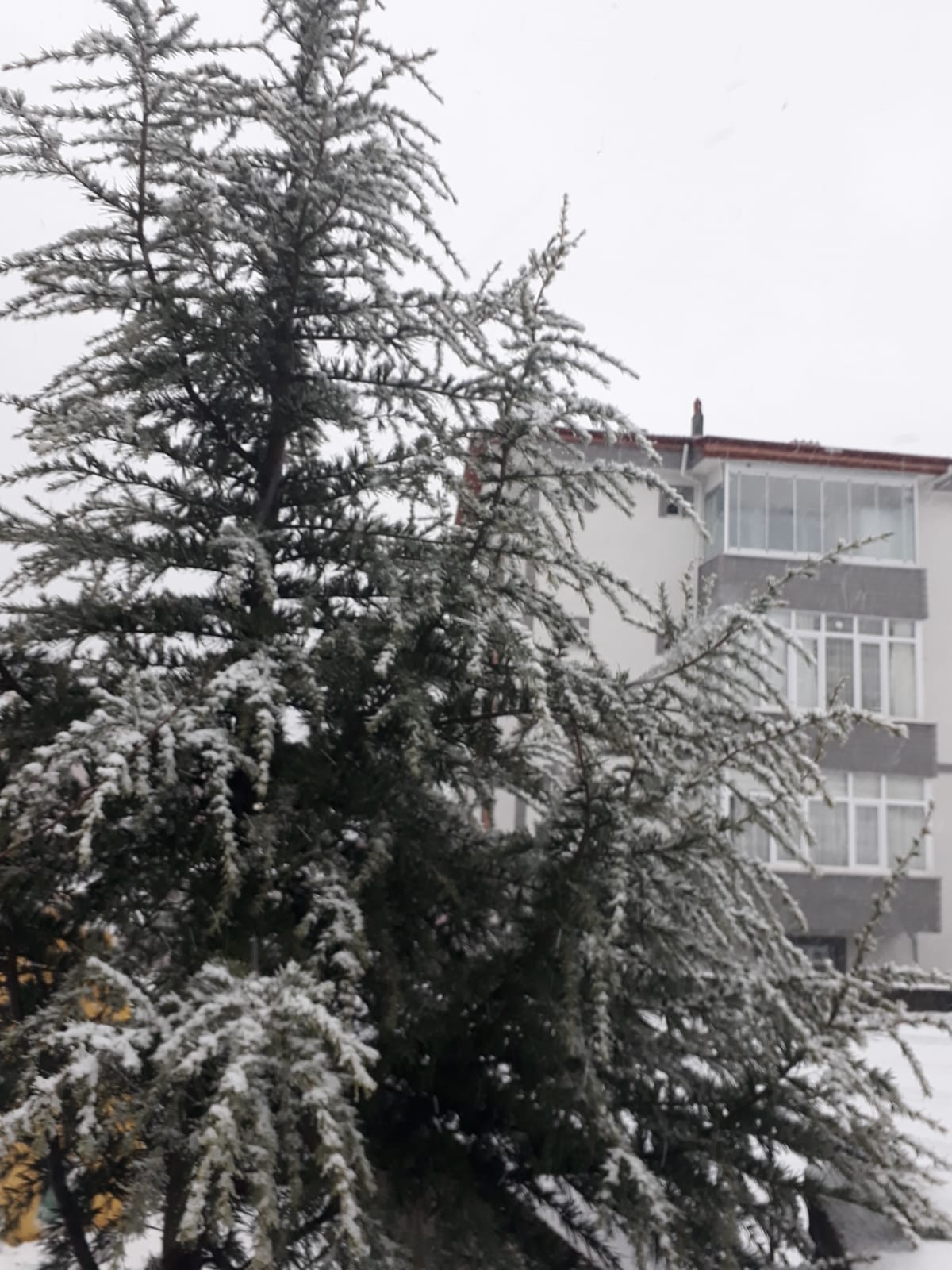 Resmi Resmeden Adam by Ezgi E. - Illustrated by Buse, Ecenur, Melike, Miraç, Müzeyyen Sude, Sezgin ve Şeyma... - Ourboox.com