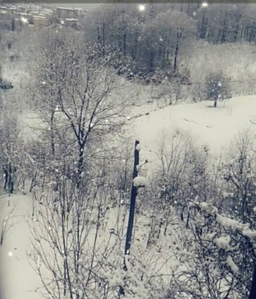 Resmi Resmeden Adam by Ezgi E. - Illustrated by Buse, Ecenur, Melike, Miraç, Müzeyyen Sude, Sezgin ve Şeyma... - Ourboox.com