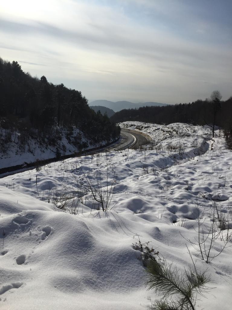 Resmi Resmeden Adam by Ezgi E. - Illustrated by Buse, Ecenur, Melike, Miraç, Müzeyyen Sude, Sezgin ve Şeyma... - Ourboox.com