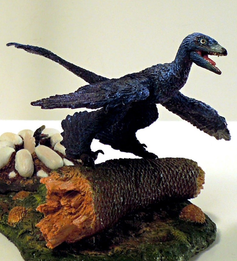 EMİNE GÜLER by emine güler - Ourboox.com