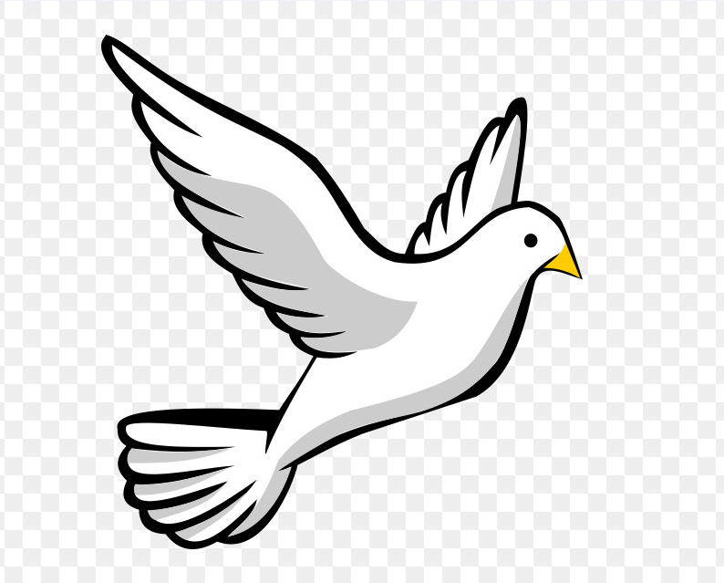 EMİNE GÜLER by emine güler - Ourboox.com