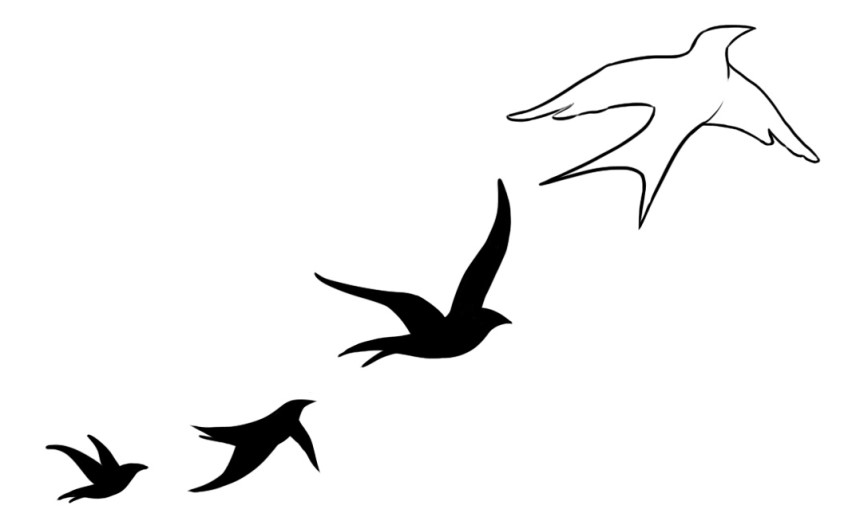 EMİNE GÜLER by emine güler - Ourboox.com