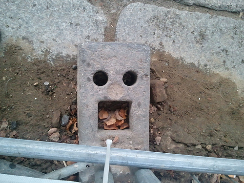 Nadir Hastalıklar by One Million Blue Ribbons - Ourboox.com