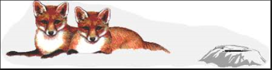 EMİNE GÜLER by emine güler - Ourboox.com