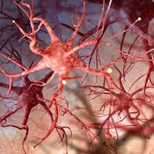 Nadir Hastalıklar by One Million Blue Ribbons - Ourboox.com