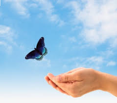 המלך הוא גנב by meytal - Ourboox.com