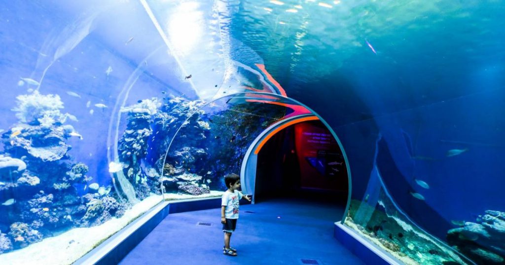 טיול שנתי לאילת by mazal abramov - Ourboox.com