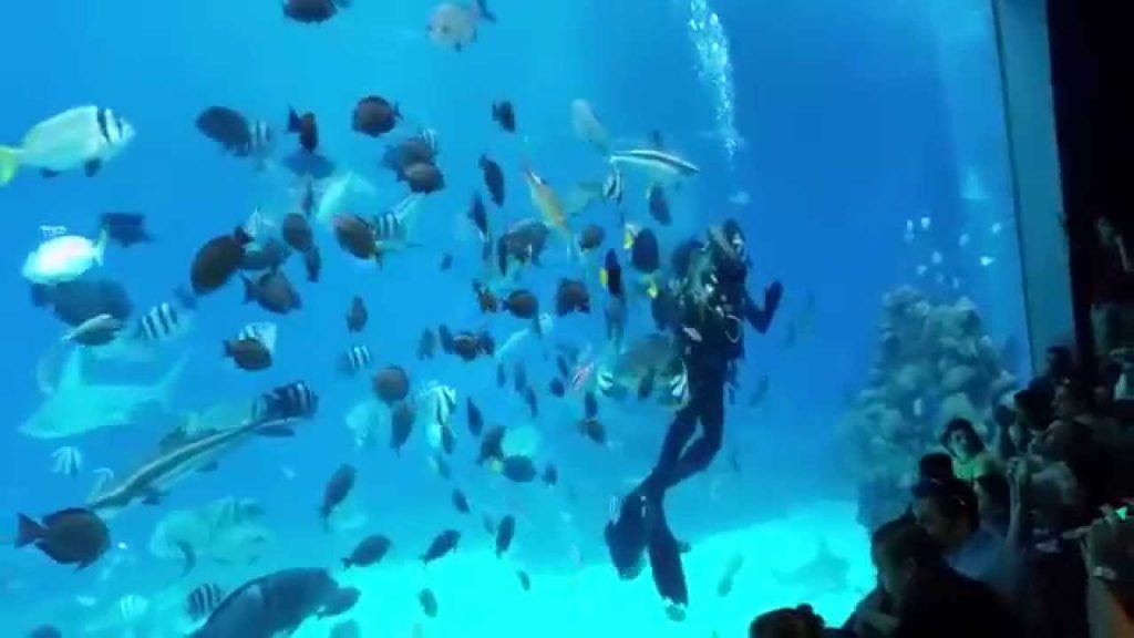 טיול לאילת לשכבת י”ב by yona - Ourboox.com