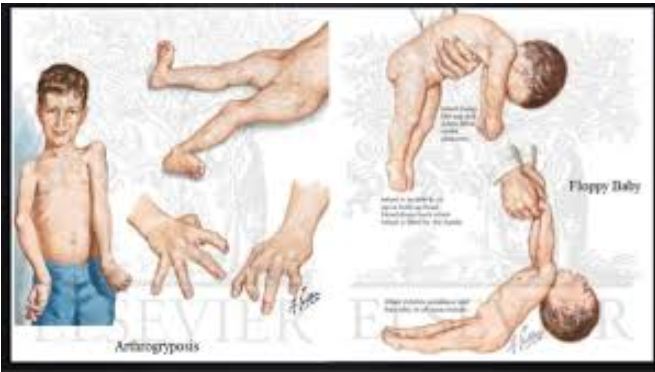 Nadir Hastalıklar by One Million Blue Ribbons - Ourboox.com