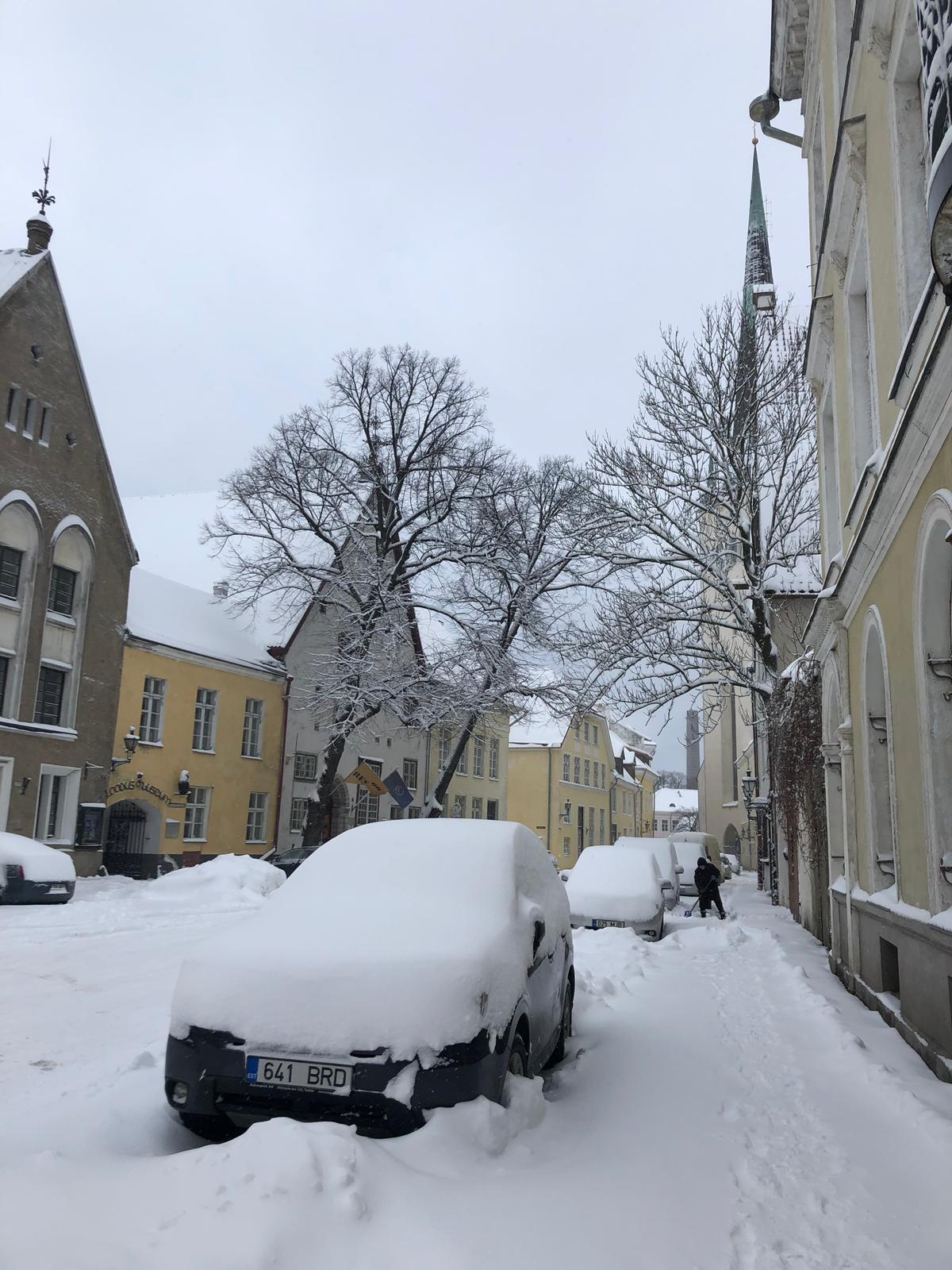 Scenes of Tallinn and Kinnernet Estonia by Mel Rosenberg - מל רוזנברג - Ourboox.com