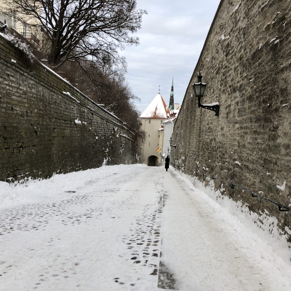 Scenes of Tallinn and Kinnernet Estonia by Mel Rosenberg - מל רוזנברג - Ourboox.com