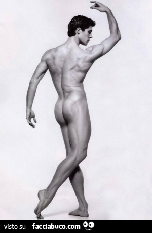 Apparato riproduttore by Simona Chiuppani - Ourboox.com