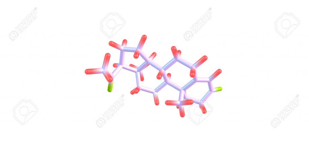 Apparato riproduttore by Simona Chiuppani - Ourboox.com
