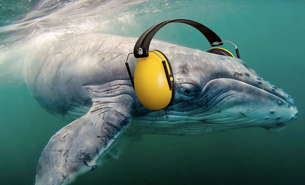 Gürültü Kirliliği by Ozge Yildiz - Ourboox.com