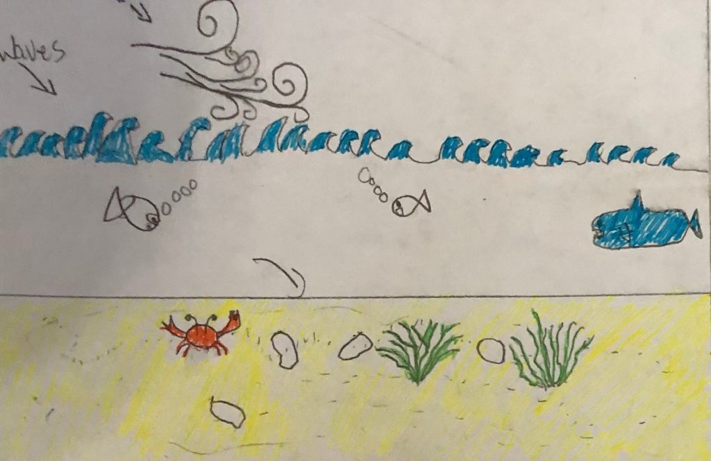 A Geology Story by Landyn French - Illustrated by  Landyn French - Ourboox.com