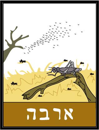 10 מכות מצרים by ido - Ourboox.com