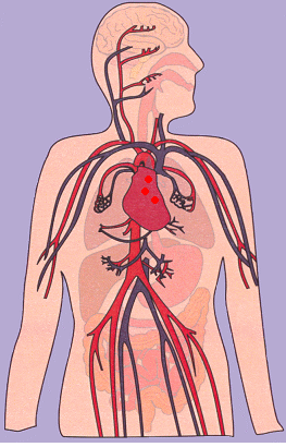 اللياقة البدنية by bushra slami - Ourboox.com