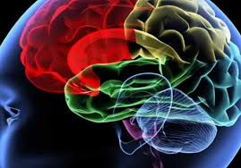 العسر الحسابي – ديسكلكوليا – Dyscalculia by sheren - Ourboox.com