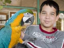 יאנקו מן העיר התחתית- אור הראל by or harel - Illustrated by אור הראל - Ourboox.com