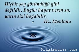 SU HAYATTIR by yıldızlar - Illustrated by ELYOŞ-ZELOŞ-ŞELOŞ-ZEYNOŞ DERGİSİ - Ourboox.com