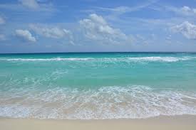 PBL בספרות (היומן הדיגיטלי) by Shay Kelner - Illustrated by שי קלנר ואור מאירי כיתה ח1 - Ourboox.com