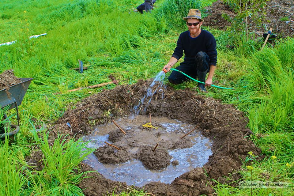 עוגה = גומה לעץ