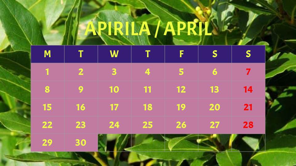 2019 CALENDAR by Lurdes - Ourboox.com