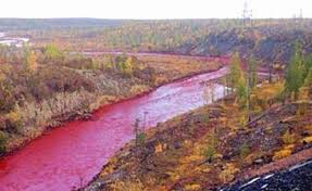 מכות מצרים by ronit - Illustrated by רונית - Ourboox.com