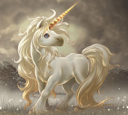 חדי הקרן מהטיילים בחוף ראשון לציון by atarim - Ourboox.com