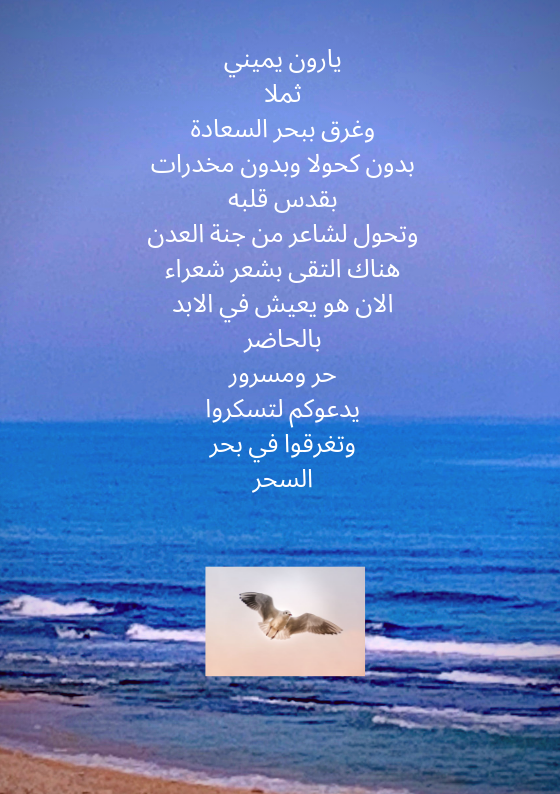 ערבית אלוהים באדם by Yaron Yemini - Ourboox.com