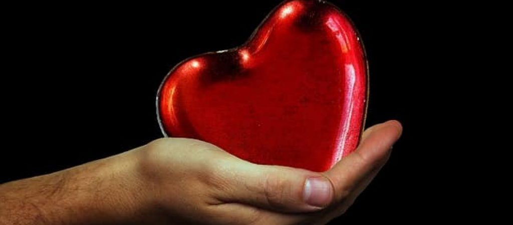 כלים להוראה by sapir mahatsri - Illustrated by ספיר מהצרי - Ourboox.com