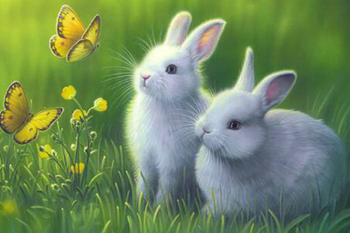 Пригоди зайчика Пухнастика by Liko  - Illustrated by Дитяча книга - Ourboox.com