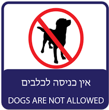 נועה מאמצת כלב by hadas - Illustrated by כתבו וערכו: הדס, לאה נטלי ועדי  - Ourboox.com