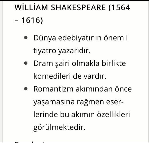 DÜNYA EDEBİYATINDA ROMAN by Derya Ertürtk - Illustrated by DERYA ERTÜRK - Ourboox.com