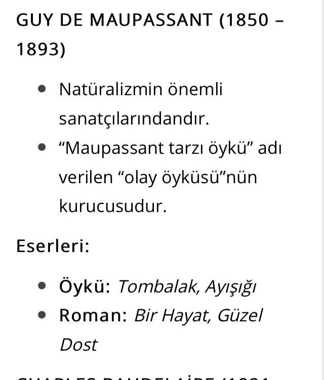 DÜNYA EDEBİYATINDA ROMAN by Derya Ertürtk - Illustrated by DERYA ERTÜRK - Ourboox.com