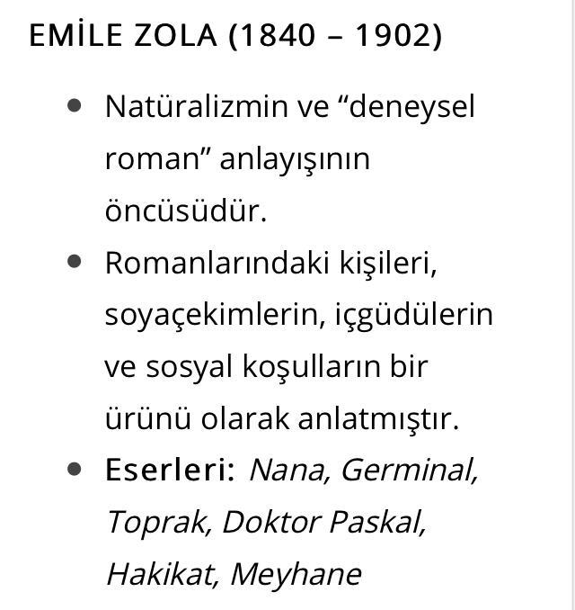 DÜNYA EDEBİYATINDA ROMAN by Derya Ertürtk - Illustrated by DERYA ERTÜRK - Ourboox.com