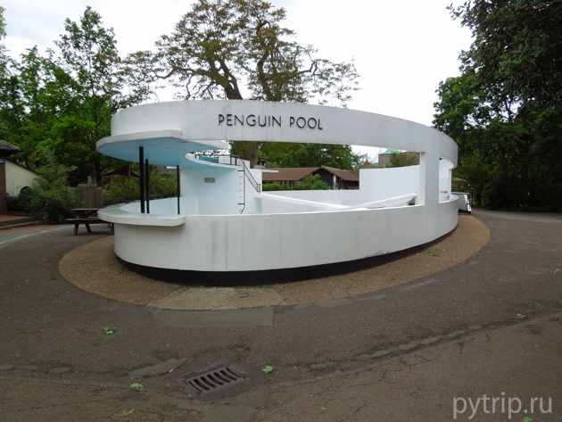 London Zoo by Travellers N-Kotya - Ourboox.com