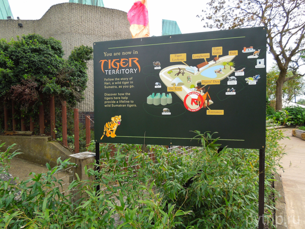 London Zoo by Travellers N-Kotya - Ourboox.com