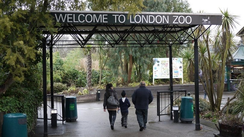 London Zoo by Travellers N-Kotya - Ourboox.com