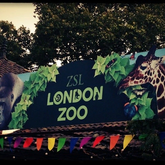 London Zoo by London Zoo - Illustrated by 