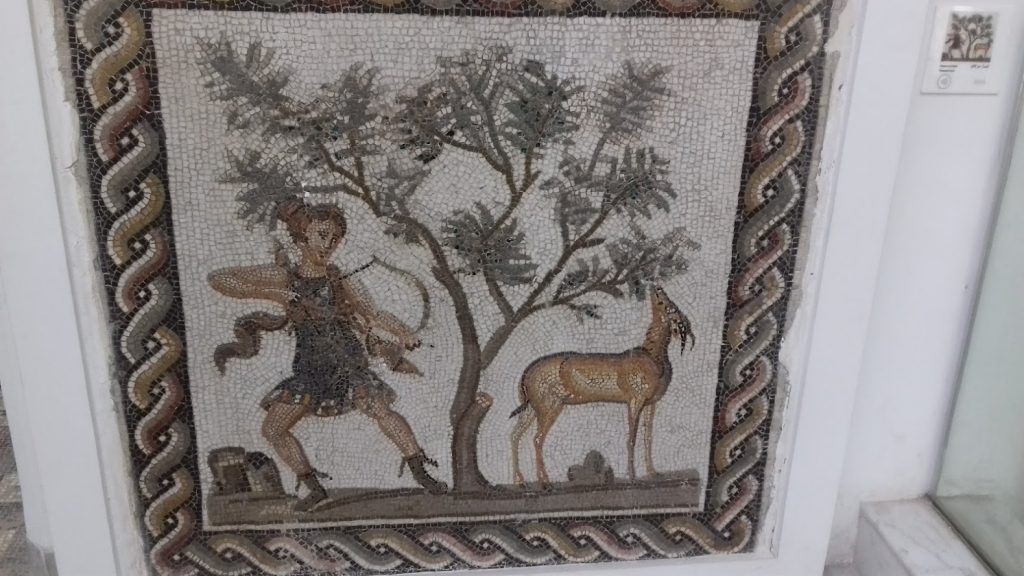 Photos from Tunisia by Ecole primaire Salah Ghodhben - Ourboox.com