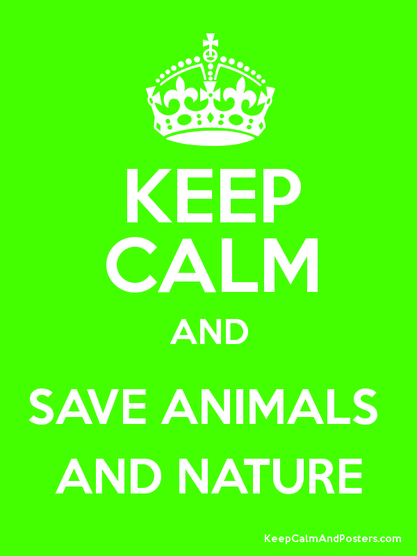 LOVE NATURE AND ANIMALS by burcusonmez - Illustrated by we are worth it project students - Ourboox.com