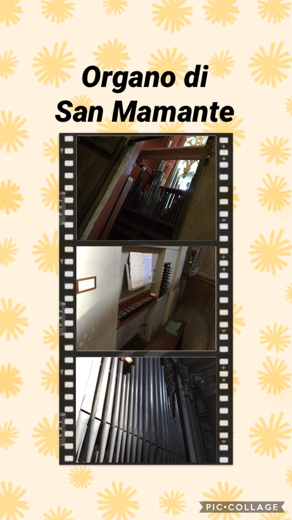 L’oro della musica di Elia Vannini e la musica a Medicina by scuola primaria - Ourboox.com