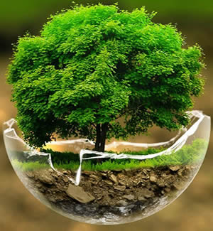 EKOLOJİ by Ilgaz kalaycıoğlu - Illustrated by Ilgaz Kalaycıoğlu - Ourboox.com