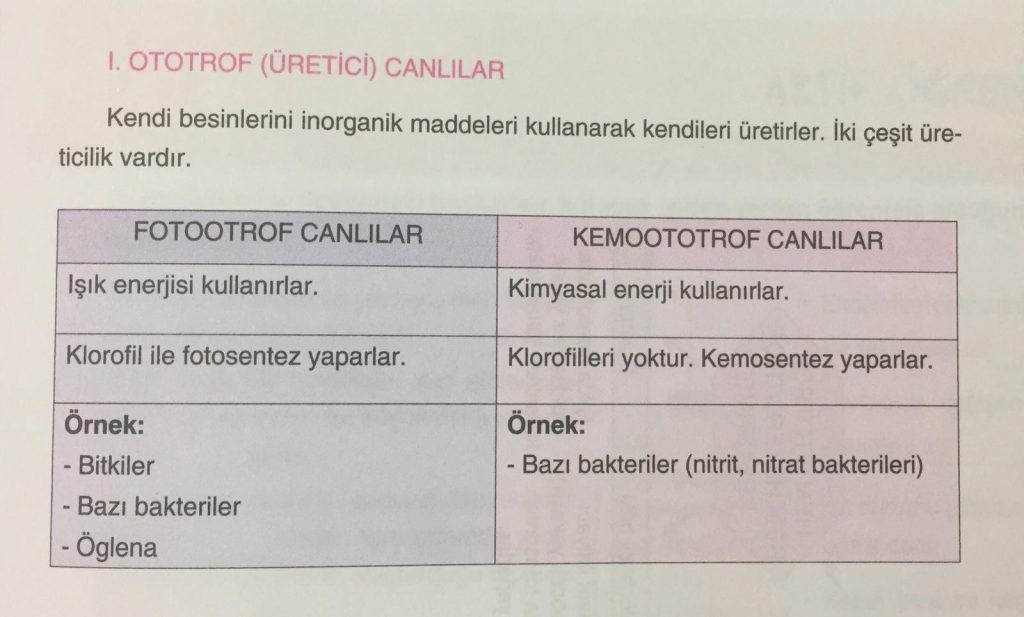 EKOLOJİ by Ilgaz kalaycıoğlu - Illustrated by Ilgaz Kalaycıoğlu - Ourboox.com