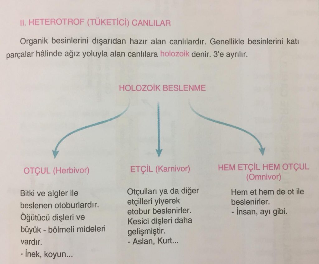 EKOLOJİ by Ilgaz kalaycıoğlu - Illustrated by Ilgaz Kalaycıoğlu - Ourboox.com